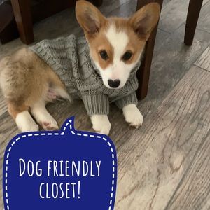 🐾Dog friendly, but they don’t wear people clothes